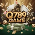 Q789 Game
