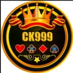 DK999 Game - Logo