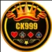 DK999 Game - Logo
