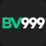 BV999 Game