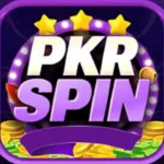PKRSpin Game
