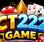 Ct222 Game