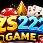 zs222 game