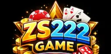 zs222 game