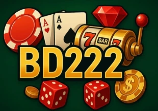 BD22 Game