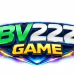 bv222 game