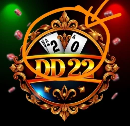 dd22 game