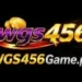 wgs456 game